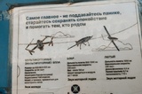Атака БПЛА на Энгельсский район: чиновники рассказали, сколько потратили на компенсации