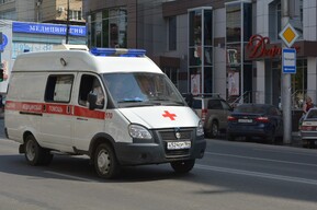 В Саратове на девушку упала ветвь дерева