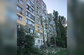 Жители Ленинского района о рубке деревьев во дворе дома: «Уродство и лысые стволы»