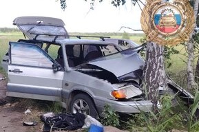 В Вольском районе «четырнадцатая» въехала в дерево: погибла пассажирка 