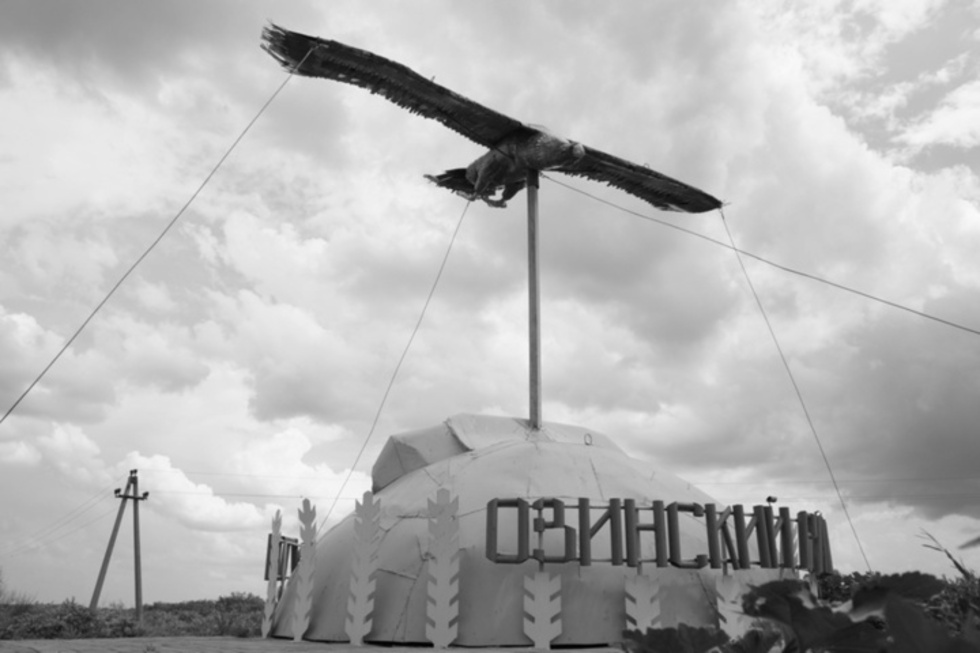 Жительница Крыма попыталась ввезти в регион запрещенное растение, нужное ей для магического «ритуала»