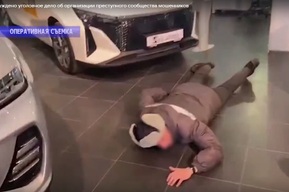 Ущерб более 50 миллионов: стало известно о новых пострадавших от ОПГ автомошенников