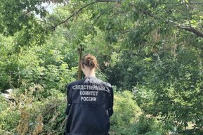 Несовершеннолетнего юношу задержали за жестокое убийство соседки