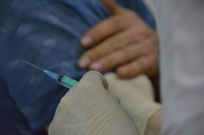 Новый приказ: как будет оказываться антирабическая помощь жителям региона