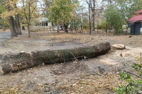 После непростительной ошибки чиновников состоялись торги по Детскому парку и мини-скверам в Заводском районе
