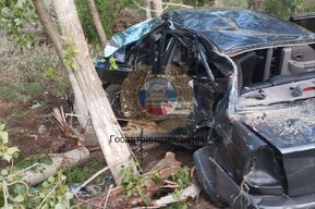 В Багаевка молодой водитель на иномарке врезался в дерево: двое юношей попали в больницу