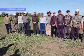 Почти тысяча нарушений законодательства, десятки уголовных дел: в Саратовской области ловили нелегальных мигрантов