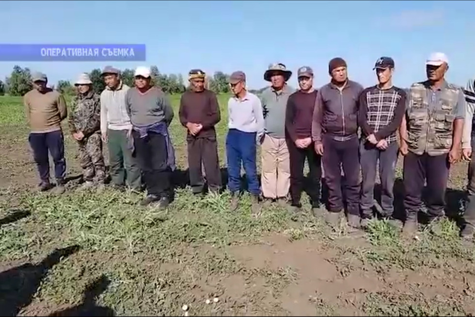 Почти тысяча нарушений законодательства, десятки уголовных дел: в Саратовской области ловили нелегальных мигрантов