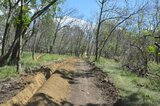 Жители Ленинского района возмутились, что «экотропу» в замусоренной лесополосе делают без проекта и после того, как власти решили застроить парк