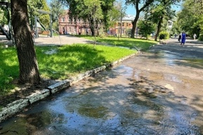 В Саратове частично закроют Детский парк: с чем это связано