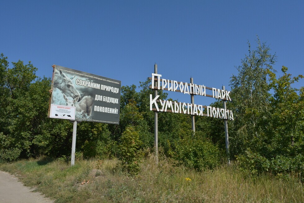 Ущерб на 10 миллионов. В Саратове возбудили уголовное дело по факту загрязнения «Кумысной поляны»