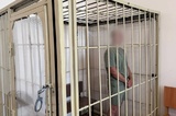 В Балашове юная велосипедистка попала под колеса иномарки и умерла в «скорой»: водитель арестован