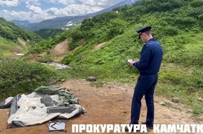 На Камчатке медведь напал на туристку из Саратова, ночевавшую в палатке