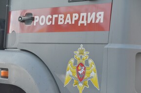 Росгвардия: у жителей региона изъяли 243 килограмма взрывчатых веществ