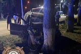 «Лада Ларгус» врезалась в дерево: есть пострадавшие