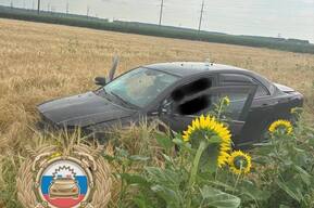 Toyota вылетела с дороги и перевернулась: пострадали женщина и трое подростков