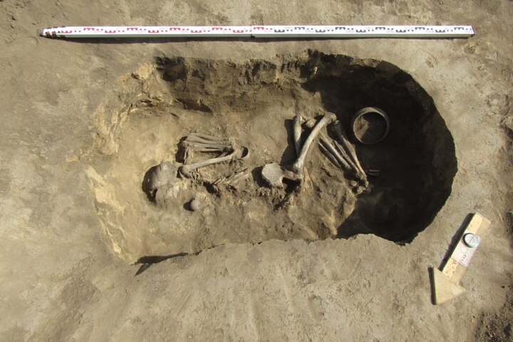 «Похоронили с символом власти»: в Аткарском районе нашли могилу древнего вождя — современника Нефертити