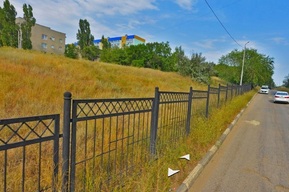 В Саратове хотят уничтожить деревья в сквере под строительство школы, по трамвайному маршруту № 3 и почти сотню — в Заводском районе