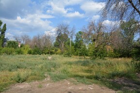 В новом парке Энгельса до 1 ноября будут строить дорожки из плитки и брусчатки за 63 миллиона