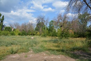 В новом парке Энгельса до 1 ноября будут строить дорожки из плитки и брусчатки за 63 миллиона