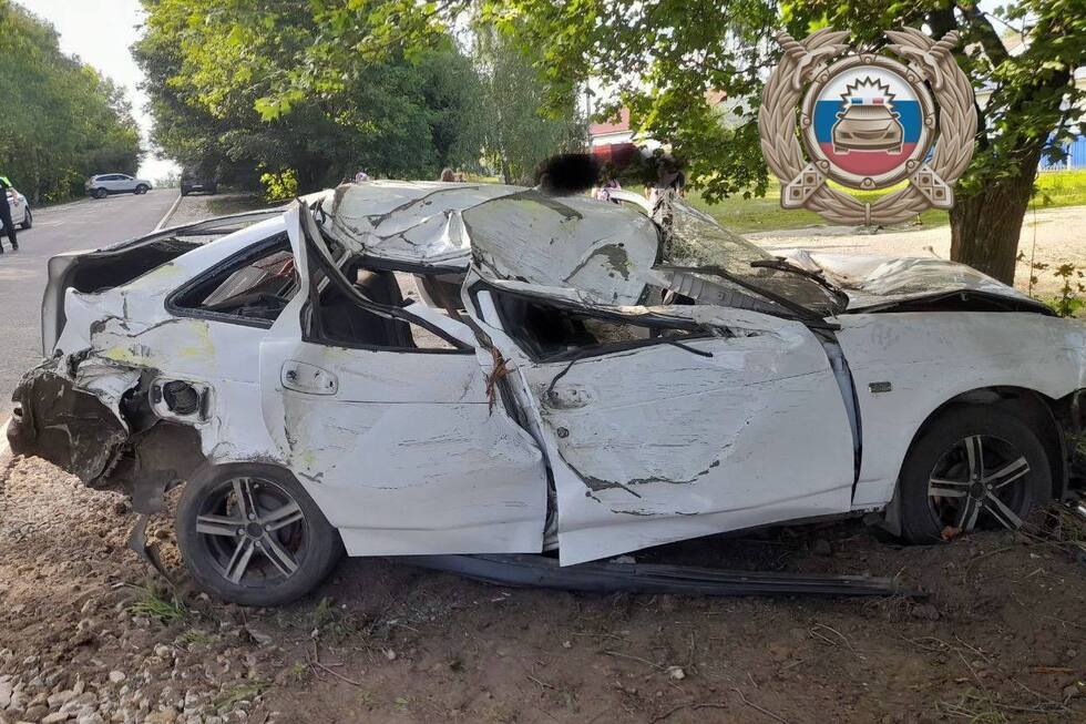 Школьник врезался в дерево на «Ладе Приоре» и погиб (пассажир в больнице)