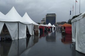 Саратовцев приглашают за медом и рыбой под окна областного правительства