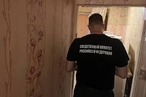 В Юбилейном женщину задержали за жесткую расправу над пенсионеркой из-за кота