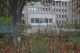 Территория бывшего роддома в центре Саратова заросла сорняками и пришла в упадок
