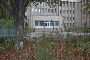 Территория бывшего роддома в центре Саратова заросла сорняками и пришла в упадок