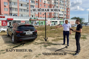 Мэрия Саратова показала, ЧТО считает ухоженным газоном: жители в недоумении и в шоке