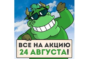Батарейки, фломастеры, макулатура: в Саратове и Энгельсе проведут экологическую акцию