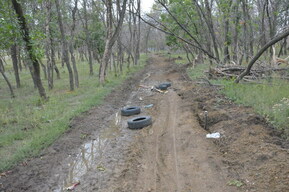 Благоустройство «Новой Кумысной поляны» в Саратове на грани срыва: рабочих и техники нет, но заключен дополнительный контракт
