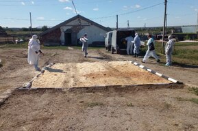 В одном из районов области подготовились к ликвидации очага особо опасного заболевания