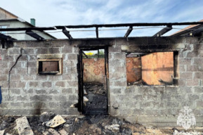 На пожаре в Гагаринском районе погибли 30 кур