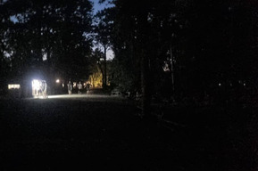 Власти по темени: мэрия Саратова без обещанного диалога решила выгнать из Горпарка тех, кто содержал его четверть века, а теперь возмущена их уходом