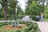«Мы возвращаем освещение ради жителей»: в Горпарке временно включат свет