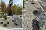Вандалы похитили туи возле памятника павшим героям
