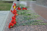 В зоне СВО погибли восемь жителей Саратовской области