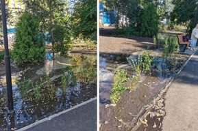 «Вот тебе, бабушка, и фонтан»: на Ильинской площади затопило сквер, о благоустройстве которого регулярно отчитывается администрация (фото)