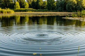 В водоёме в Балаково нашли труп неизвестного, выясняется его личность