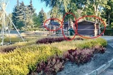 «Вы же обещали заботиться»: жители Саратова заподозрили, что власти перестали поливать клумбы в Горпарке, а для отчёта используют старые фото