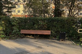 «Лавочки шатаются, вонь, все в мусоре»: состояние бульвара в центре Саратова возмутило горожан