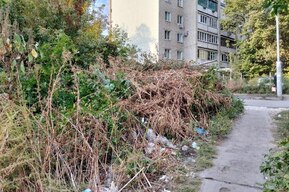 Сгоревшие развалины, свалка, темнота: саратовчанка пожаловалась на разруху в Октябрьском районе и отписки чиновников
