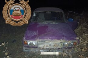 «Семерка» с девятнадцатилетним водителем свалилась в кювет