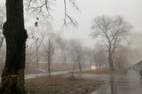 Дожди, сухость и снова осадки: на этой неделе в Саратовской области ожидается переменчивая погода