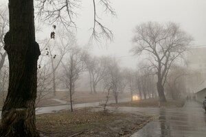 Дожди, сухость и снова осадки: на этой неделе в Саратовской области ожидается переменчивая погода