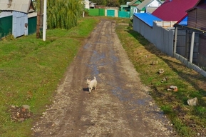 Из-за отсутствия благоустройства в единственном в регионе городе-курорте возбуждено уголовное дело (не обошлось без Бастрыкина)