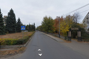 В Ленинском районе решили пересчитать все деревья и кусты на 11 улицах