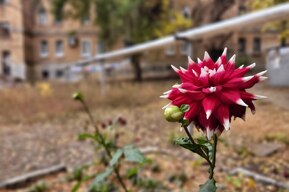 В Саратовской области ночью столбик термометра опустится до +3