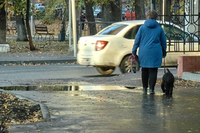 «Посадить бы их. Сюда»: жительница Саратова рассказала про сохранившуюся «первозданную лужу» в реконструированном Детском парке